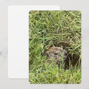 What's Up? Flat Holiday Card