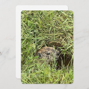 What's Up? Flat Holiday Card