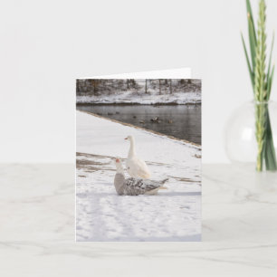 Whats Up Goose Card