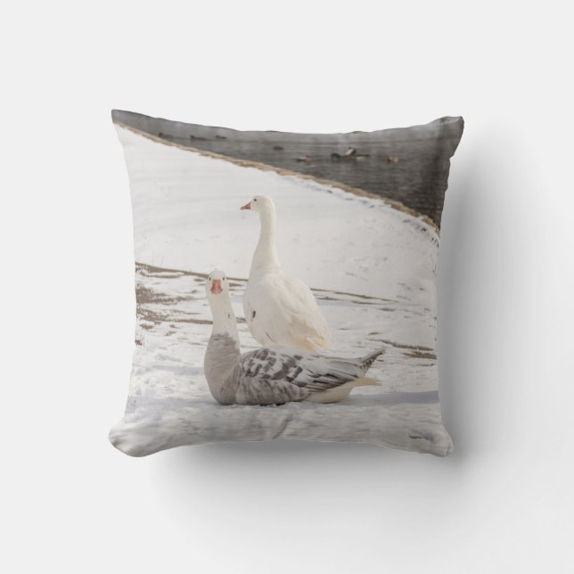 Whats Up Goose Cushion (Front)