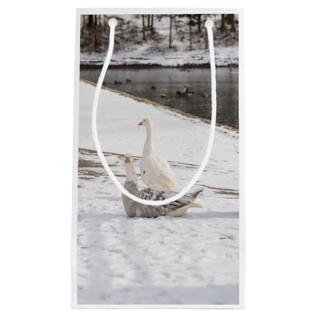Whats Up Goose Small Gift Bag (Front)
