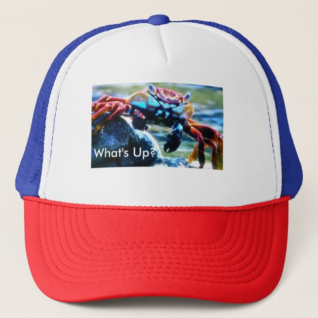 What's Up make your own hat (Front)