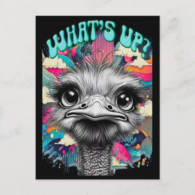 Whats Up? Postcard (Front)