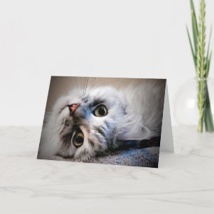 What's Up? Thinking of You Card