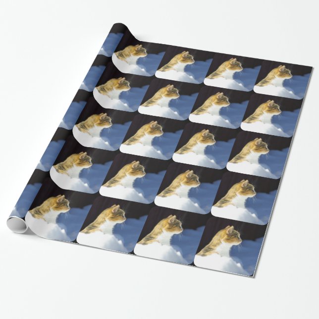 Whats Up? Wrapping Paper (Unrolled)