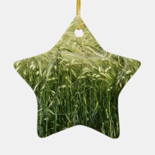 Wheat - beautiful! ceramic tree decoration (Back)