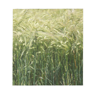 Wheat - beautiful! notepad