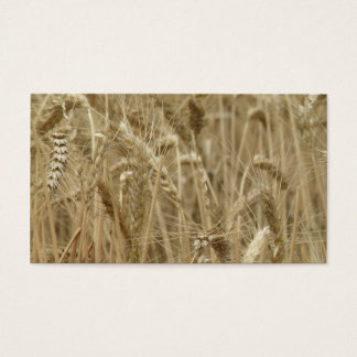 Wheat Field
