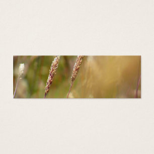 Wheat Field Blur