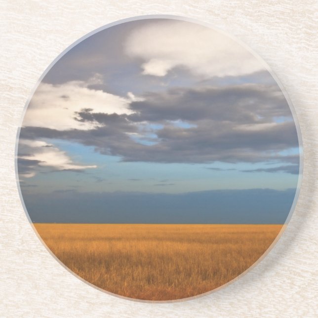 Wheat Field Fine Oil Painting Drink Coaster (Front)