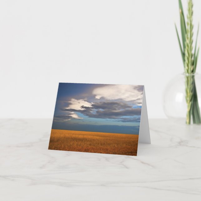 Wheat Field Fine Oil Painting Note Card (Front)