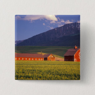 Wheat field in the Wallowa Valley, Just outside 15 Cm Square Badge