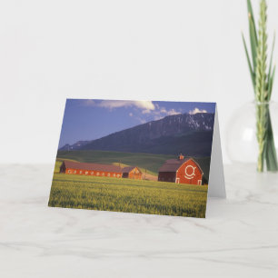 Wheat field in the Wallowa Valley, Just outside Holiday Card