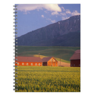 Wheat field in the Wallowa Valley, Just outside Spiral Notebook