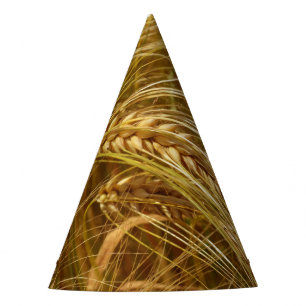 Wheat field. It’s Harvest Time! Party Hat