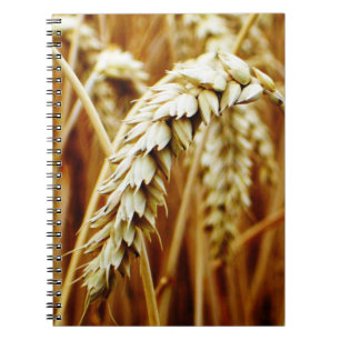 Wheat Field Notebook