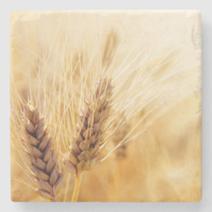 Wheat field stone coaster