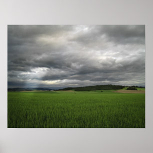 WHEAT FIELD STORM POSTER