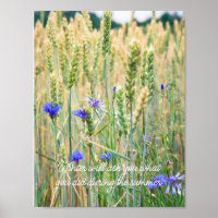 Wheat field with blue cornflowers