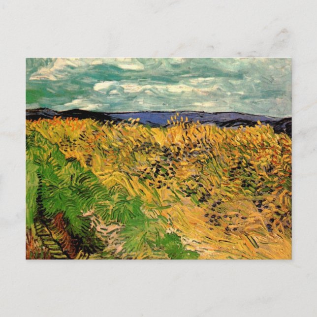 Wheat Field with Cornflowers by Vincent van Gogh Postcard (Front)