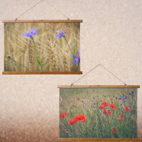 Wheat field with poppies and cornflowers