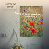 Wheat field with poppies and cornflowers