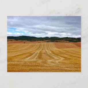 Wheat fields postcard