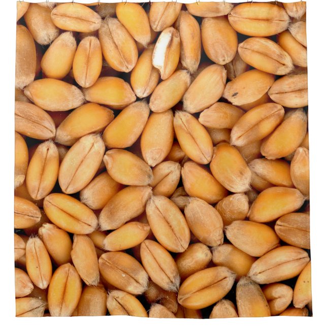 Wheat grains food cereals shower curtain (Front)