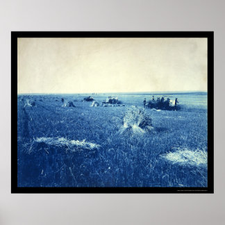 Wheat Harvest Brookings, SD 1898 Poster