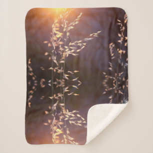 wheat in morning sherpa blanket