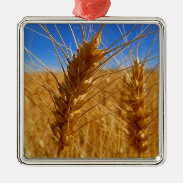 Wheat Metal Tree Decoration (Front)
