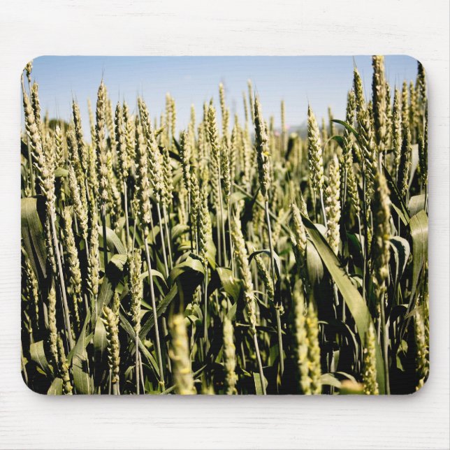 Wheat Mouse Pad (Front)