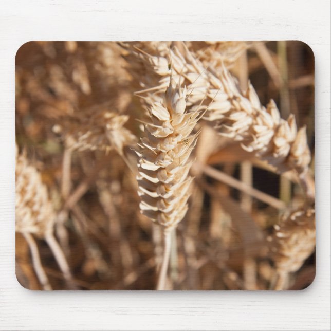 Wheat Mouse Pad (Front)