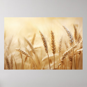 Wheat Sunset Tranquil Peaceful Nature Poster