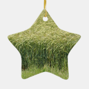 Wheat - Tasty! Ceramic Tree Decoration