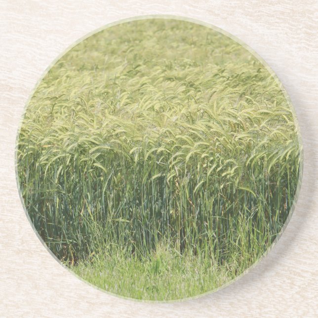Wheat - Tasty! Coaster (Front)