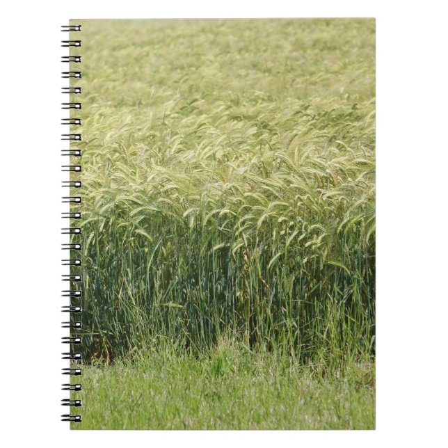 Wheat - Tasty! Spiral Notebook (Front)