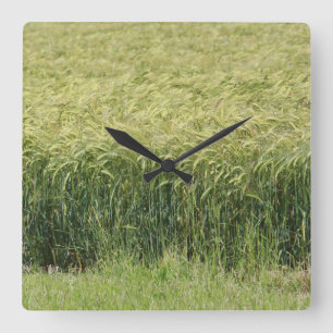 Wheat - Tasty! Square Wall Clock