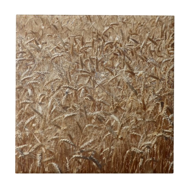 WHEAT TILE (Front)