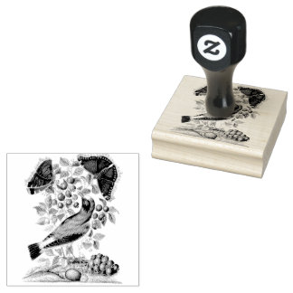 Wheatear Bilberry Camberwell Birds Scrapbooking Rubber Stamp