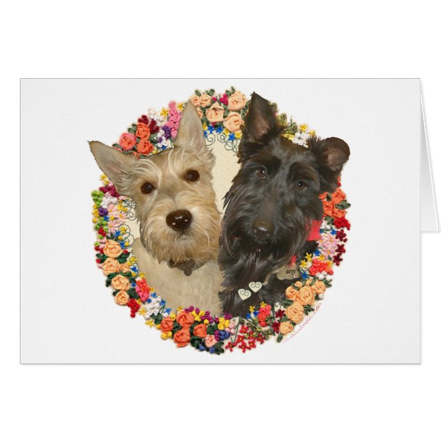 Wheaten & Black Scotties (Front Horizontal)