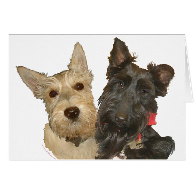 Wheaten & Black Scotties (Front Horizontal)