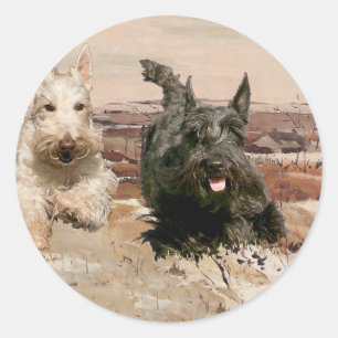 Wheaten & Black Scotties Running Classic Round Sticker