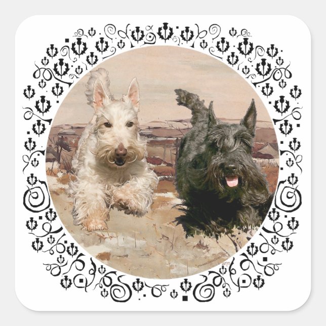 Wheaten & Black Scotties Running Square Sticker (Front)