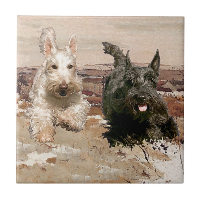 Wheaten & Black Scotties Running Tile (Front)