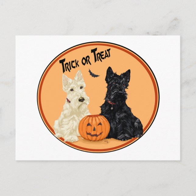 Wheaten & Black Scottish Terriers Halloween Postcard (Front)