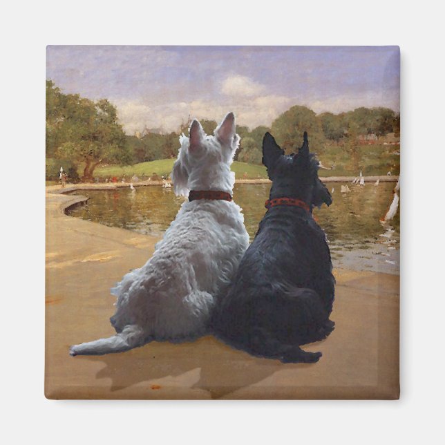 Wheaten & Black Scottish Terriers Magnet (Front)