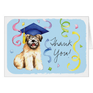 Wheaten Graduate