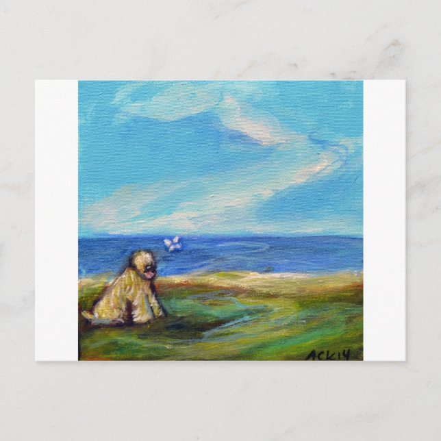 Wheaten Ocean Breeze Postcard (Front)