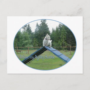 Wheaten Scottie Agility Postcard